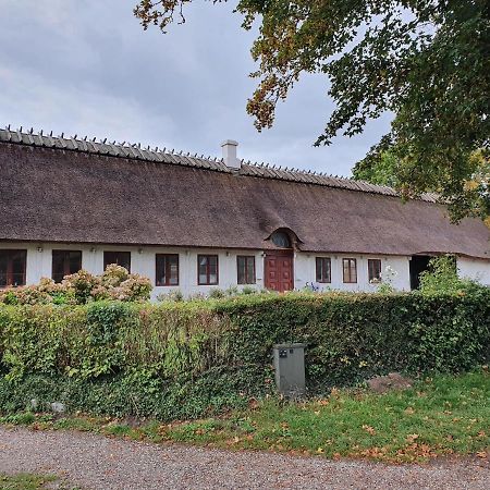 Ragnhilds Gard, Hostel Nyord Kültér fotó